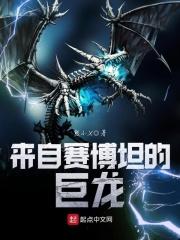 来自塞伯坦的情怀