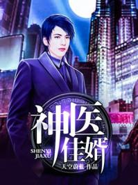 神医佳婿36集大结局