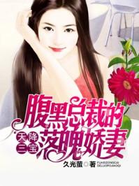 天降三宝总裁爹地宠妻甜如蜜