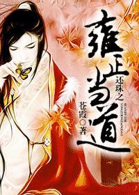 还珠格格之雍正重生 还珠格格之雍正重生