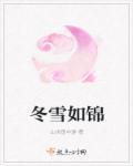 冬雪如锦免费阅读 冬雪如锦免费阅读