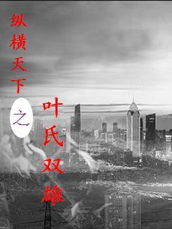 纵横天下之叶氏双雄 失落的小老板 纵横天下之叶氏双雄 失落的小老板