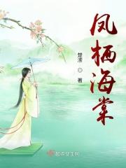 凤栖堂前的集
