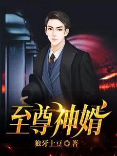 至尊神婿 至尊神婿