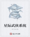 星际武侠系统 星际武侠系统