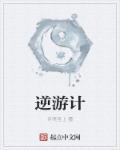 逆游计 逆游计