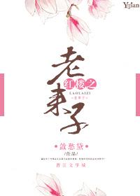 红楼之老来子 红楼之老来子